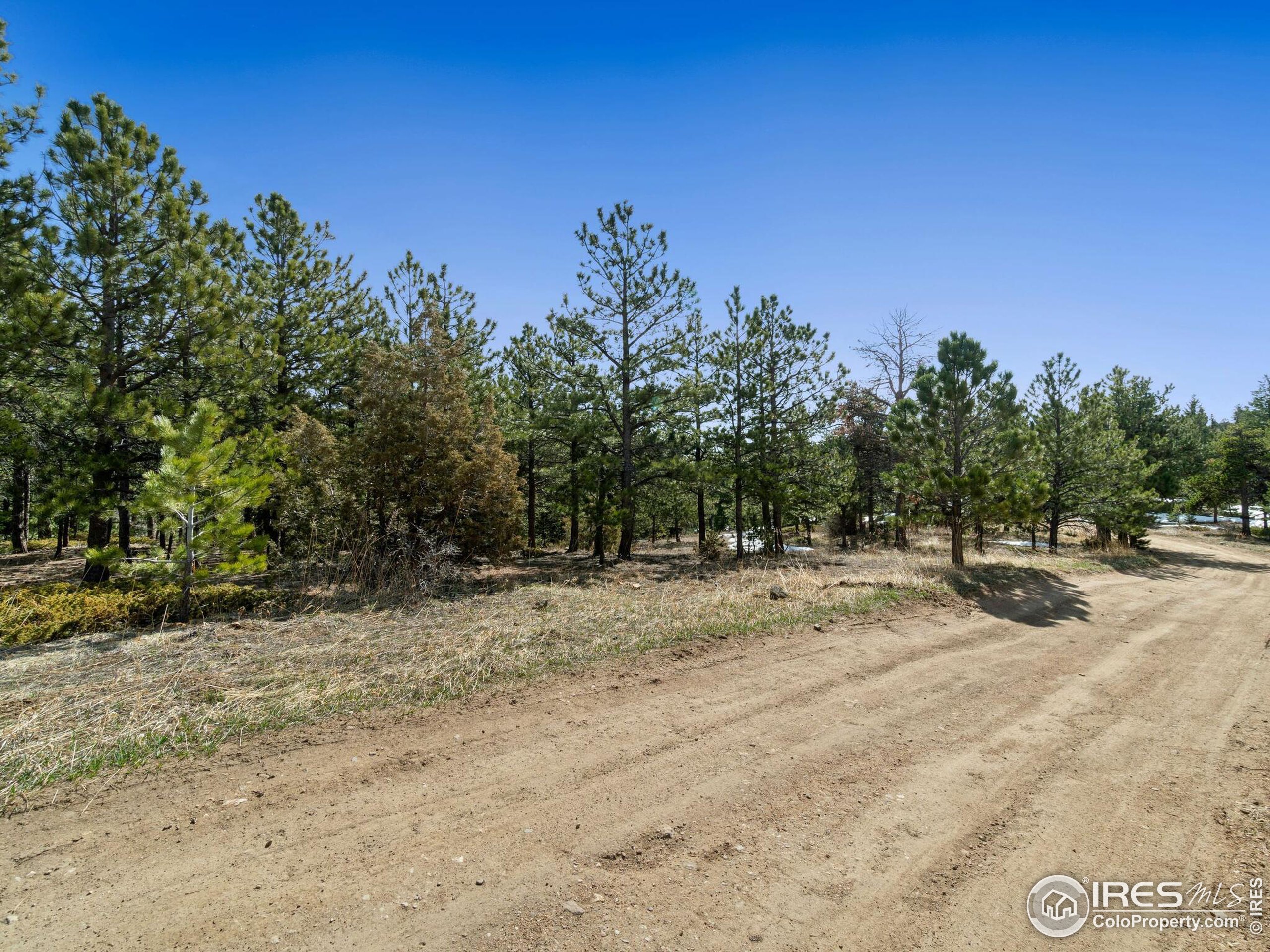 61 Rim Road Boulder, CO 80302 - Photo 17 of 33 a view of a dry yard with trees