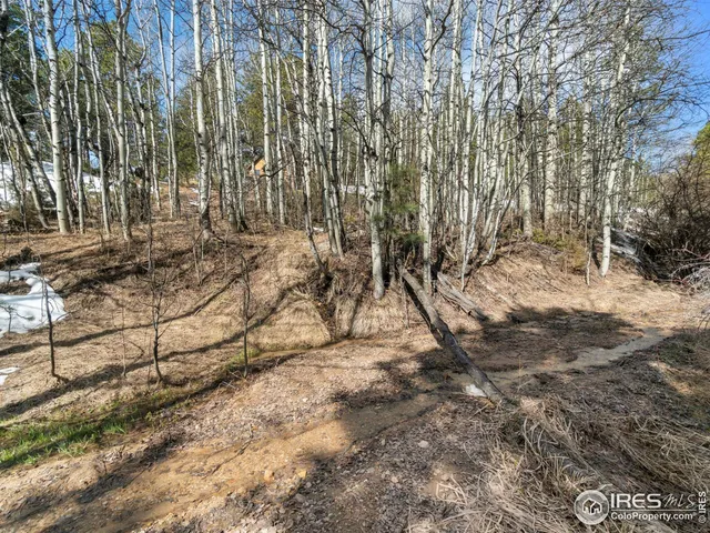a view of yard with green space