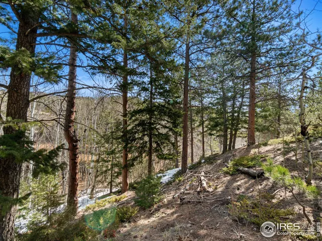 a view of a wooden house with snow on the road