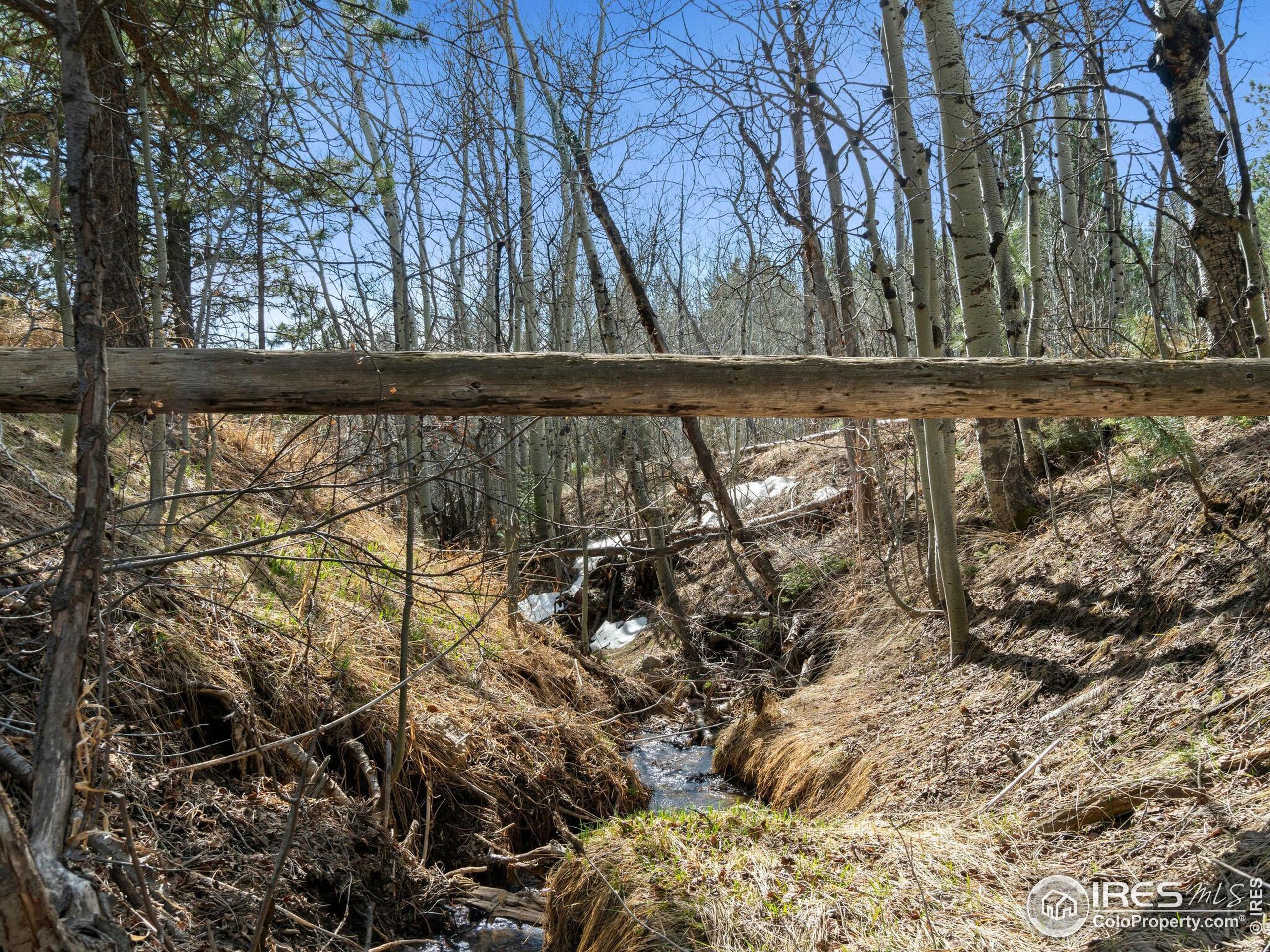 61 Rim Road Boulder, CO 80302 - Photo 27 of 33 a view of a yard