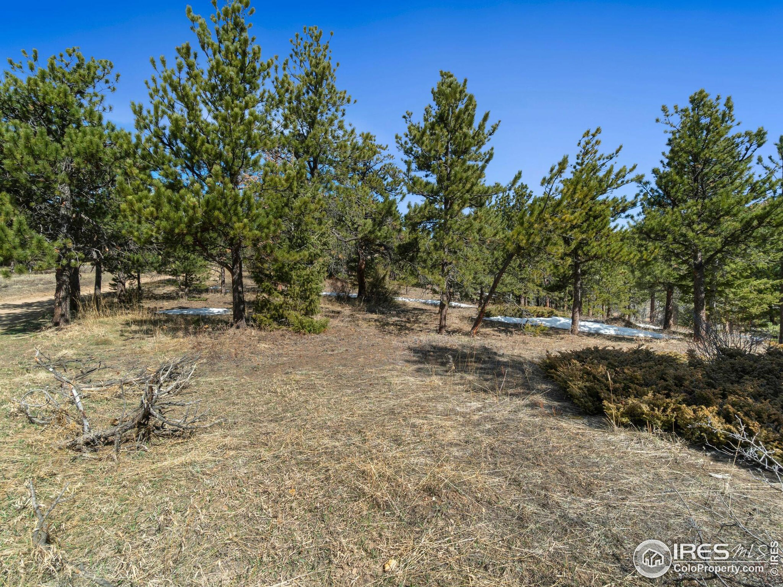 61 Rim Road Boulder, CO 80302 - Photo 33 of 33 a view of outdoor space with trees