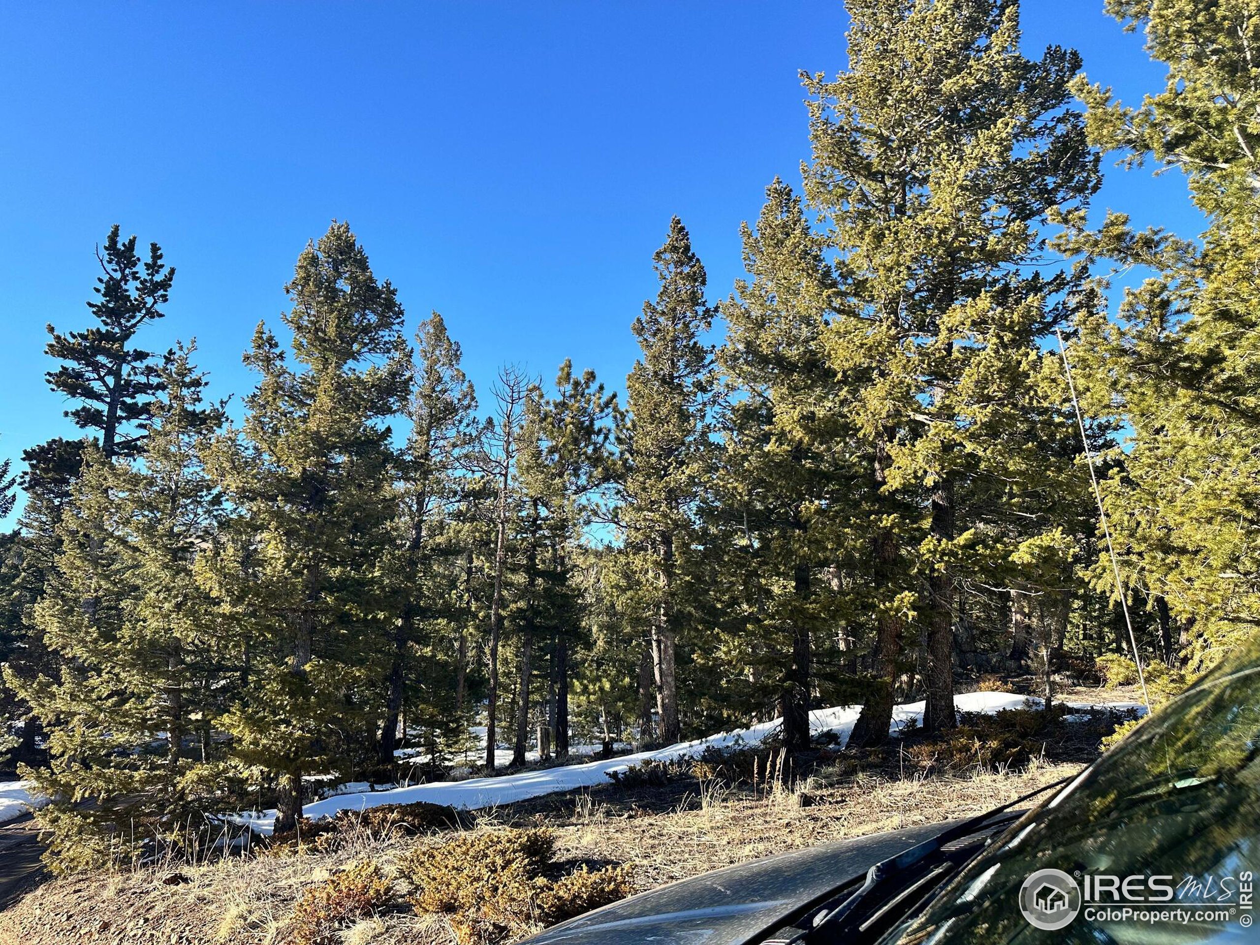 61 Rim Road Boulder, CO 80302 - Photo 6 of 33 a view of a house with a tree