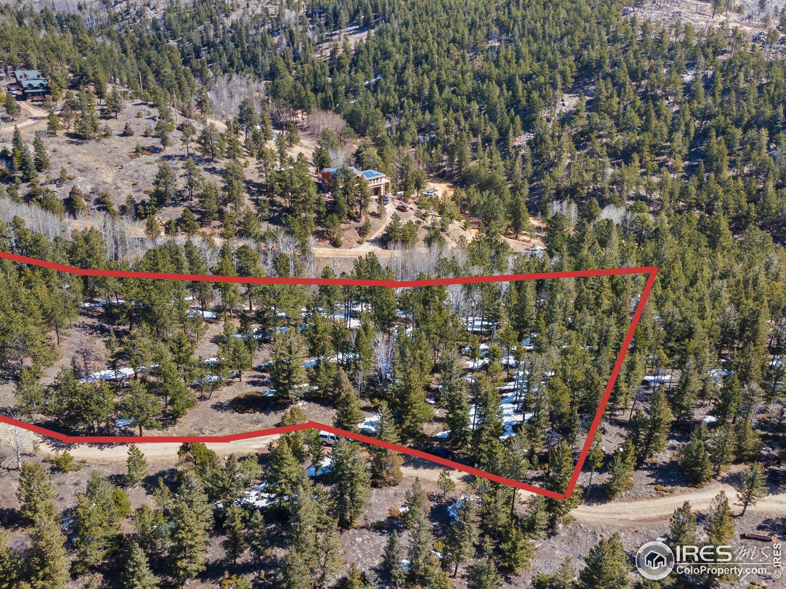 61 Rim Road Boulder, CO 80302 - Photo 8 of 33 a view of a filled with lots of flowers