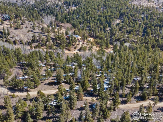a view of a lot of trees and houses