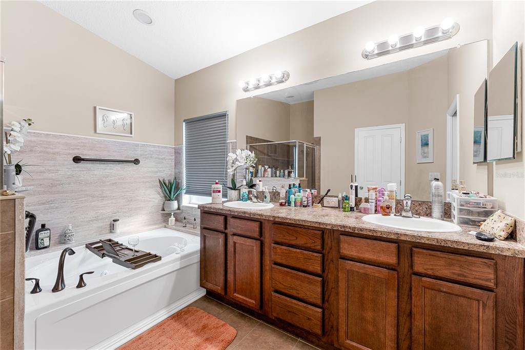 6729 Boulder Run Loop Wesley Chapel, FL 33545 - Photo 15 of 21