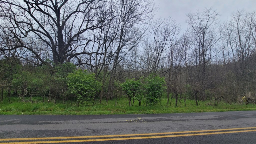 0 Piedmont Road New Market, TN 37820 - Photo 8 of 11