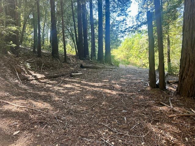 7175 Redwood Retreat Road Gilroy, CA 95020 - Photo 11 of 30