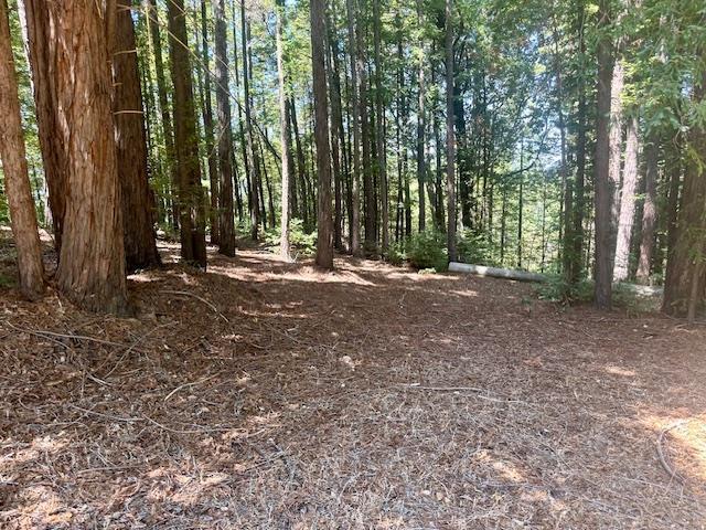 7175 Redwood Retreat Road Gilroy, CA 95020 - Photo 13 of 30