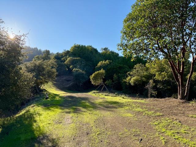 7175 Redwood Retreat Road Gilroy, CA 95020 - Photo 15 of 30