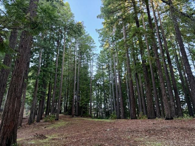 7175 Redwood Retreat Road Gilroy, CA 95020 - Photo 16 of 30