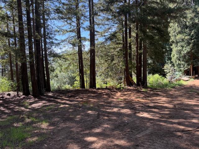 7175 Redwood Retreat Road Gilroy, CA 95020 - Photo 18 of 30
