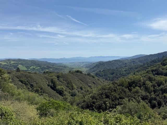 7175 Redwood Retreat Road Gilroy, CA 95020 - Photo 21 of 30
