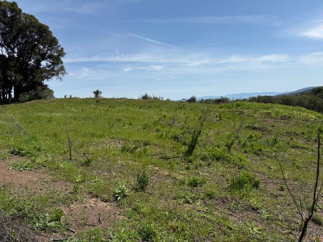 7175 Redwood Retreat Road Gilroy, CA 95020 - Photo 26 of 30