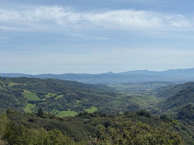 7175 Redwood Retreat Road Gilroy, CA 95020 - Photo 29 of 30