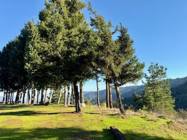 7175 Redwood Retreat Road Gilroy, CA 95020 - Photo 5 of 30