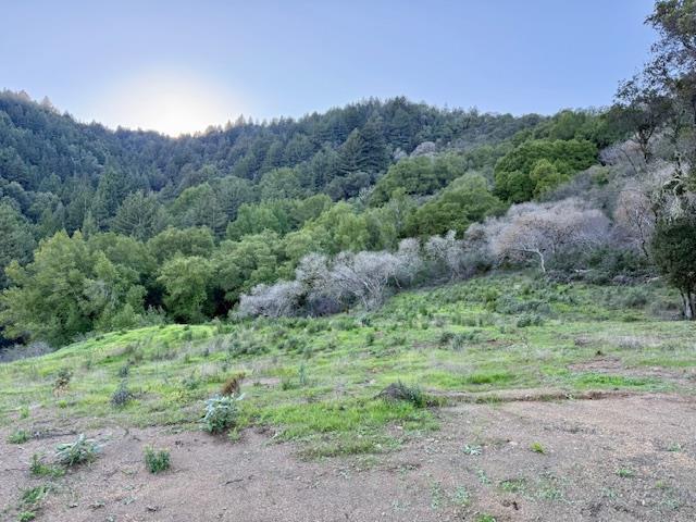 7175 Redwood Retreat Road Gilroy, CA 95020 - Photo 7 of 30