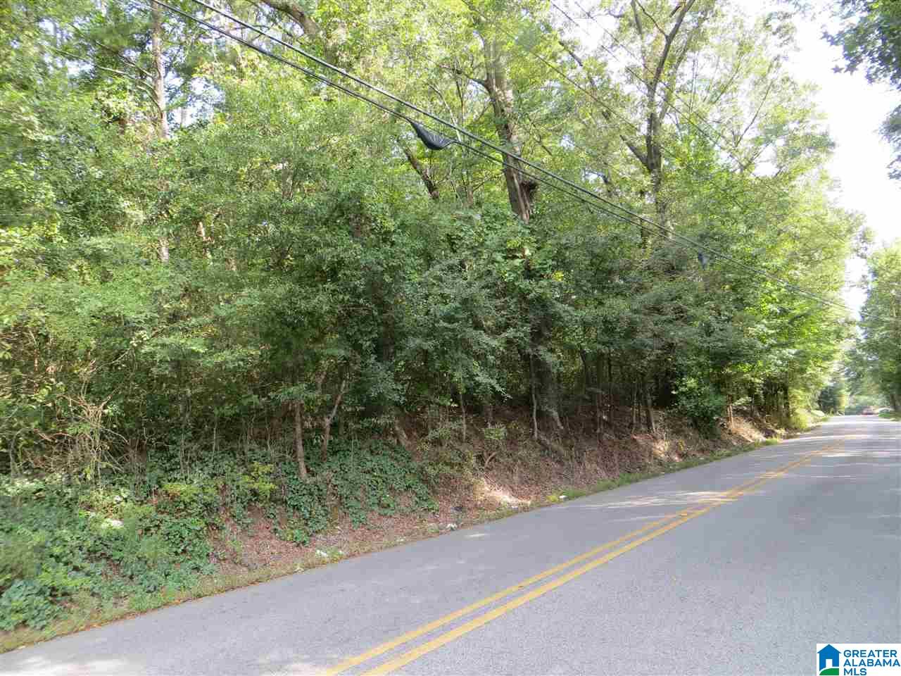 801 Cedar Springs Road, Unit Z AC Weaver, AL 36277 - Photo 13 of 19
