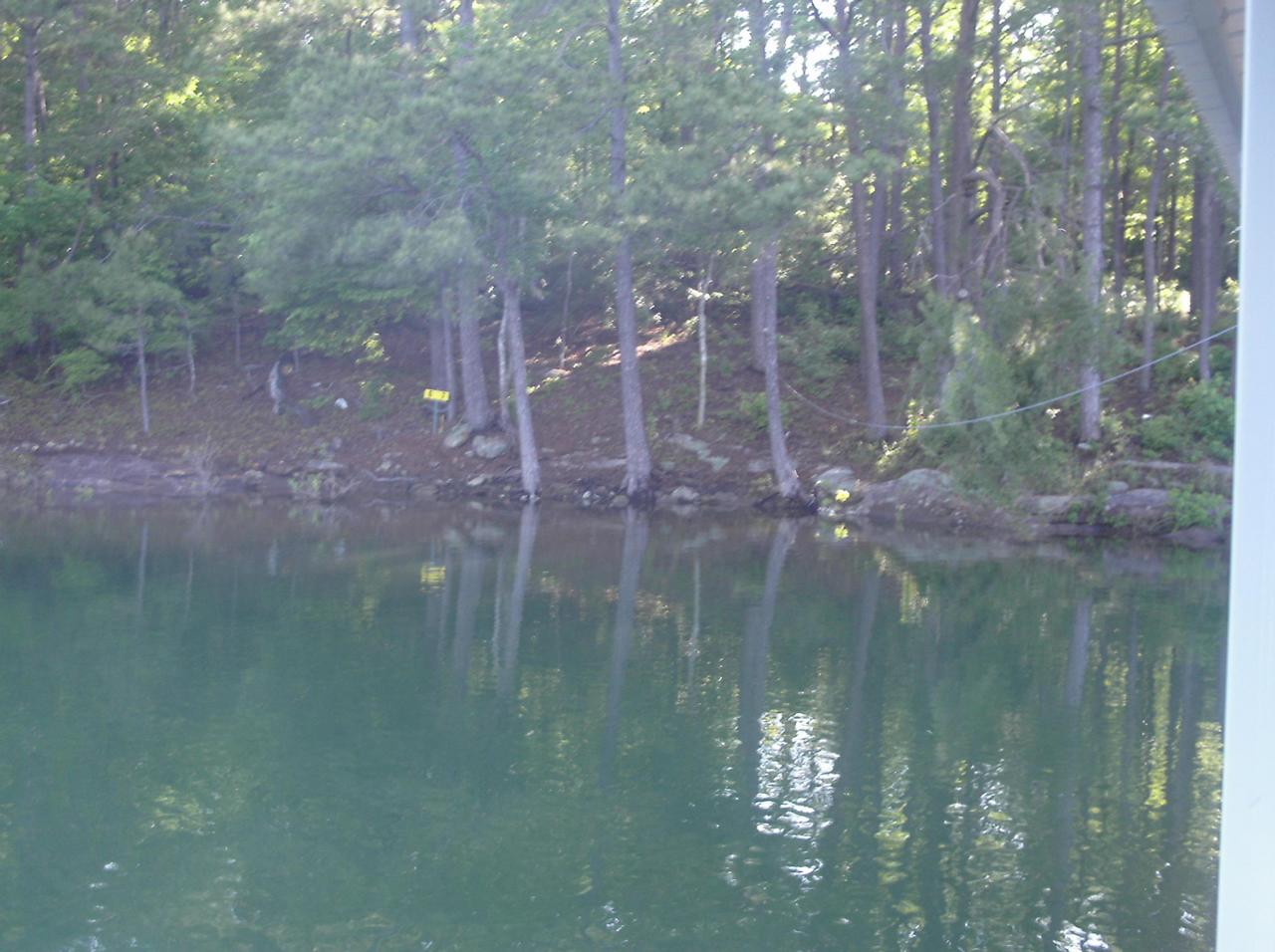 Lot 6 Edgewater Point Arley, AL 35541 - Photo 1 of 2 Gallery Image 1