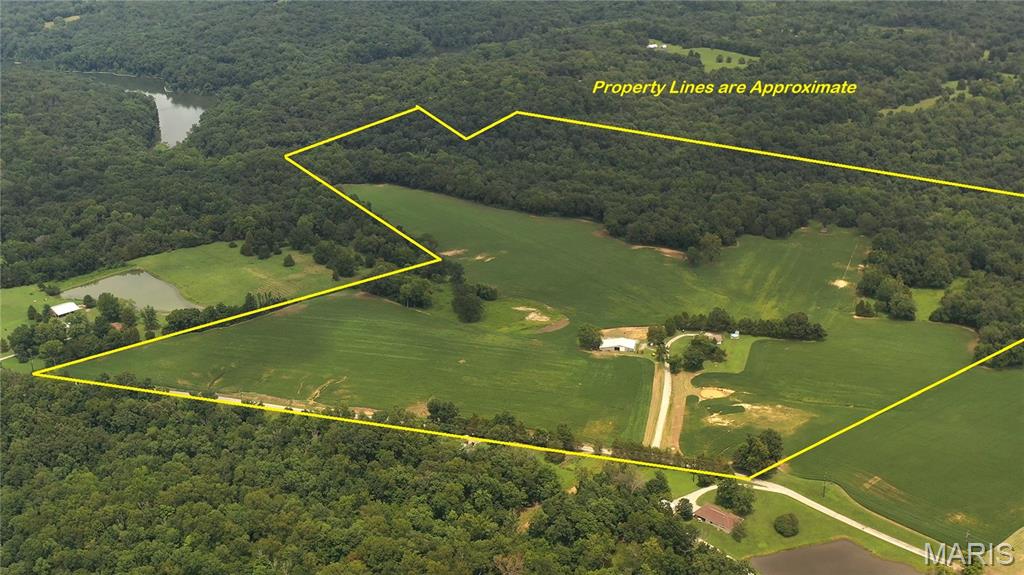 920 South Poplar Camp Road Makanda, IL 62958 - Photo 2 of 53