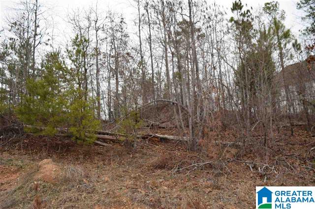 2108 Chelsea Rdg Drive, Unit 39 Columbiana, AL 35051 - Photo 1 of 4