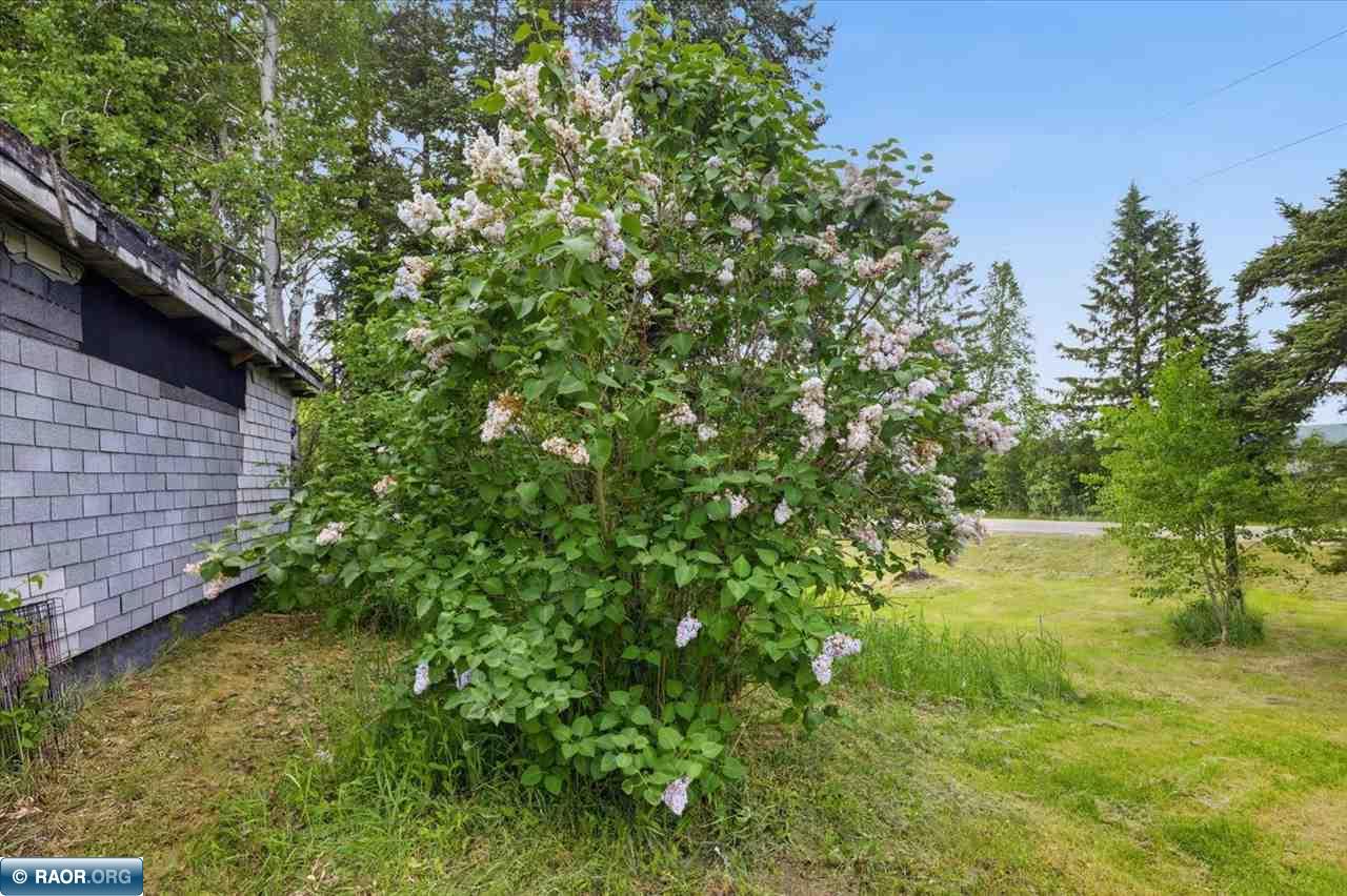 5254 Road 70 Embarrass, MN 55732 - Photo 7 of 37