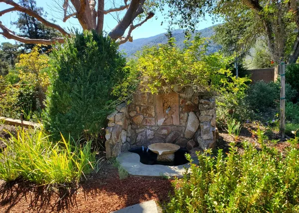a view of a garden with plants