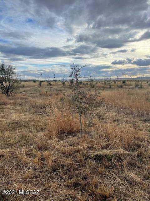 Tbd Upper Elgin Road Elgin, AZ 85611 - Photo 9 of 16
