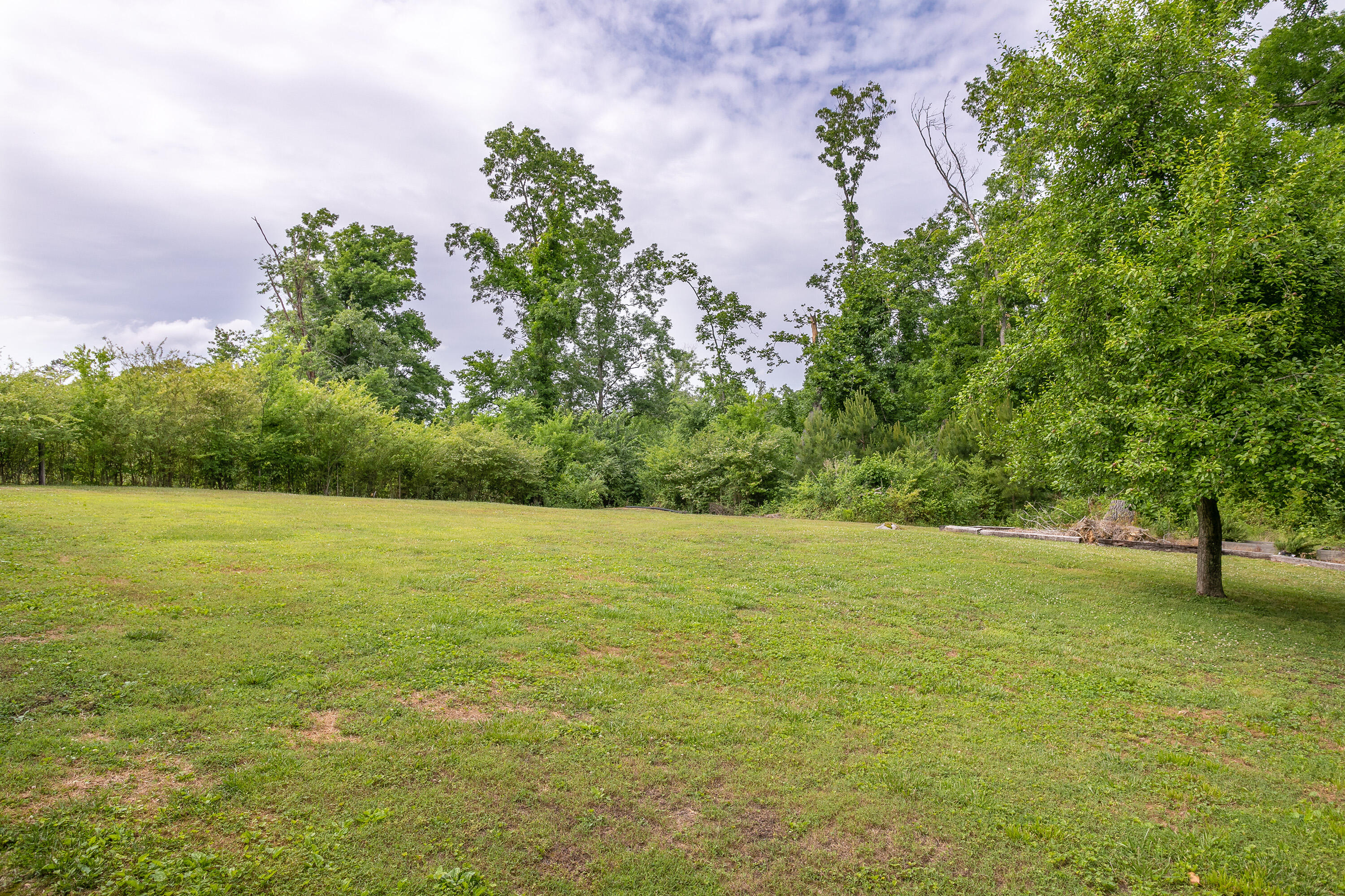 9307 Bill Reed Road Ooltewah, TN 37363 - Photo 19 of 21 9307 Bill Reed Rd_Back Yard 1