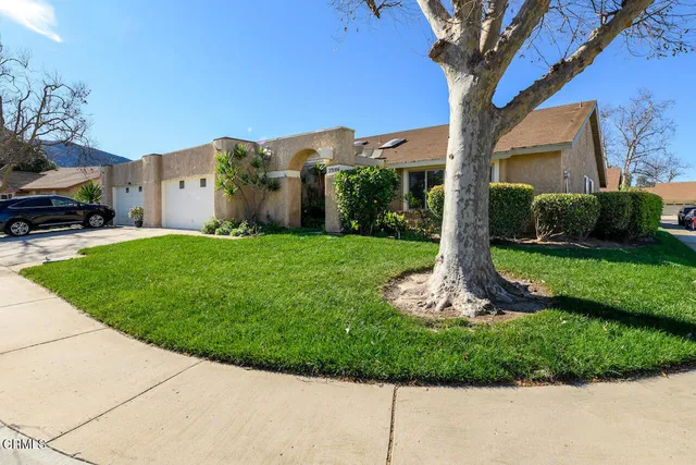 a view of a house with a yard and large tree