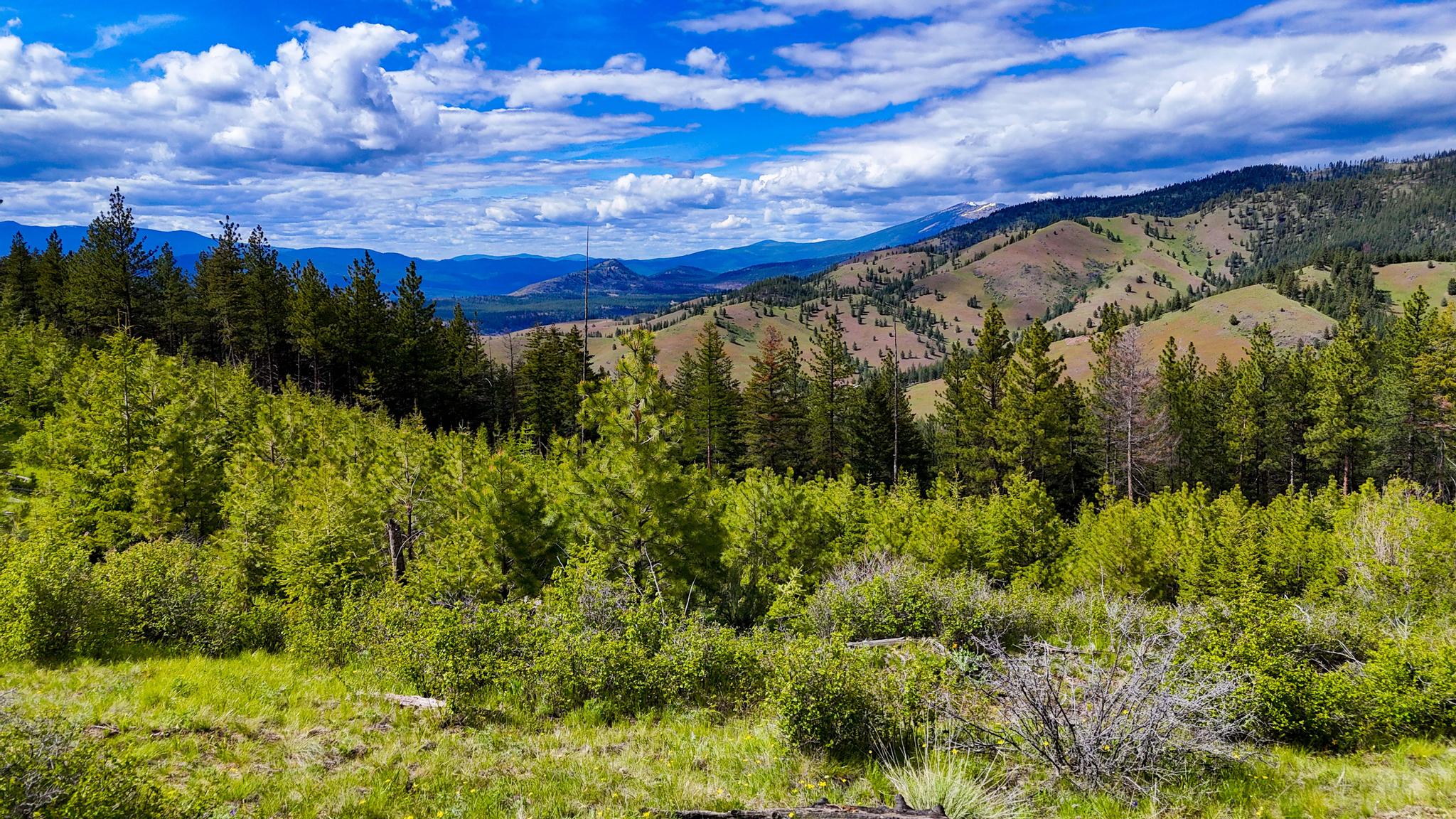 2 Henry Creek Road Plains, MT 59859 - Photo 23 of 40 Gallery Image 23