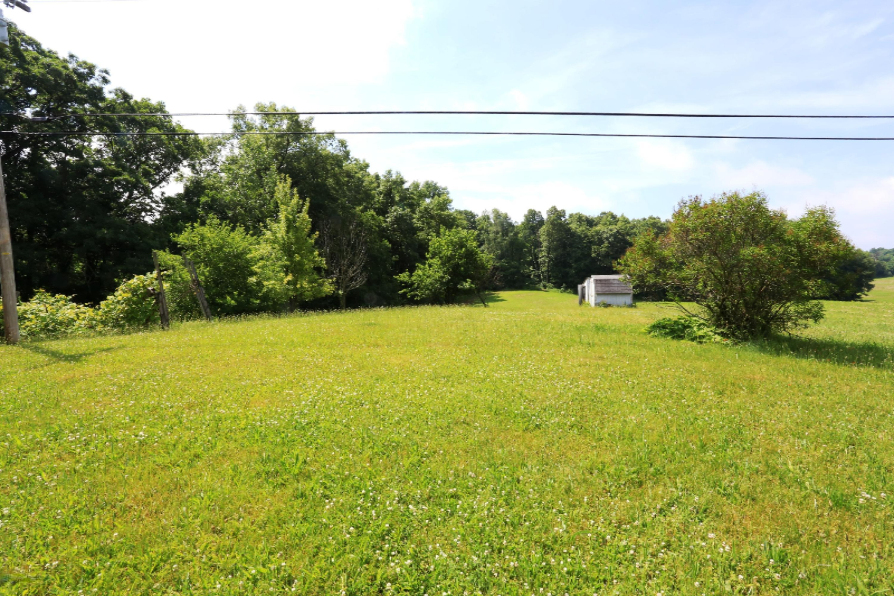 10547 Bald Hill Street Three Rivers, MI 49093 - Photo 59 of 63 IMG_2675