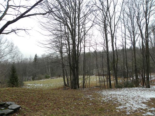 0 Sumner Stetson Road Colrain, MA 01340 - Photo 4 of 13 a view of a field with trees in the background