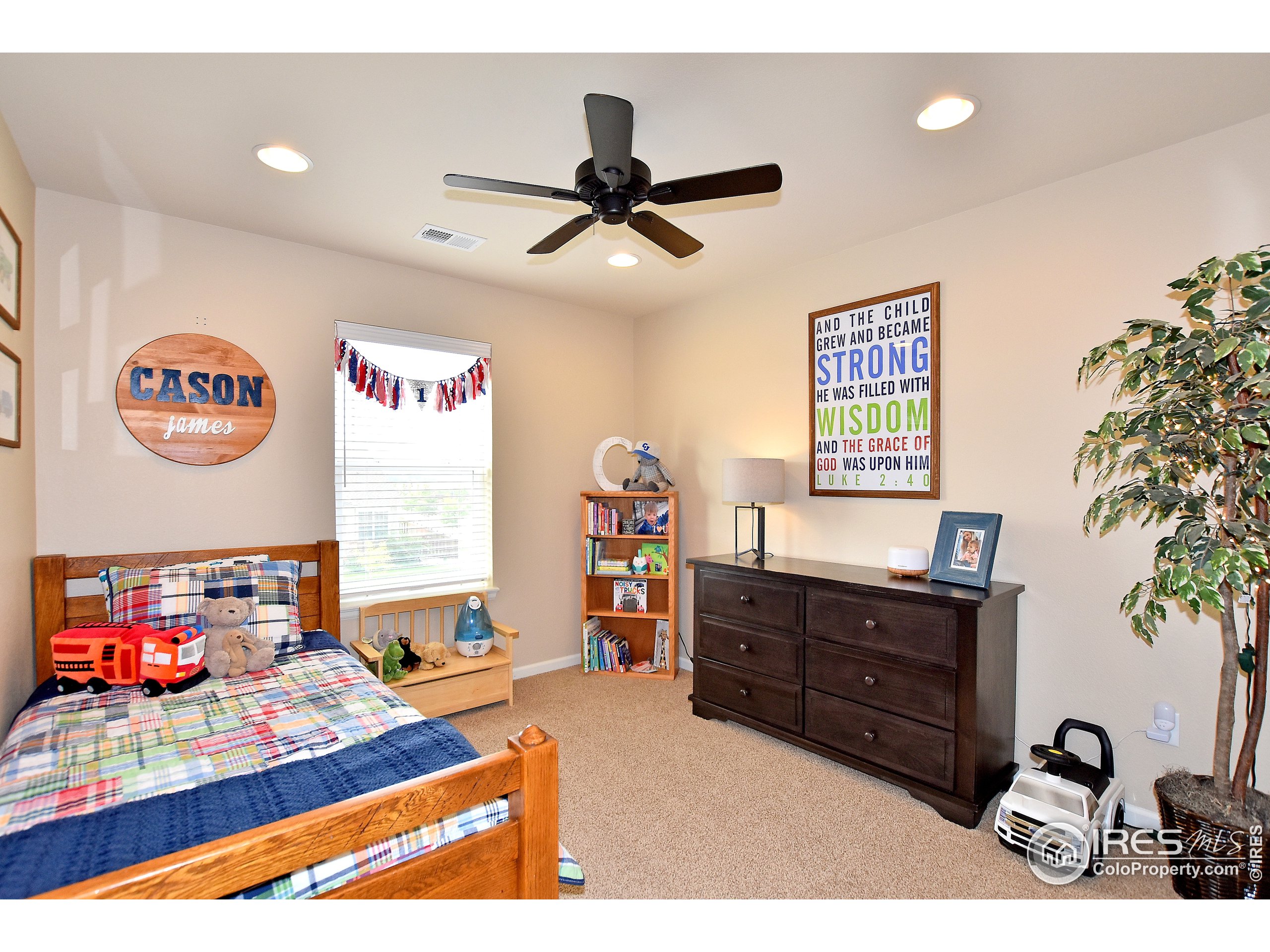 6734 Spring Rain Road Timnath, CO 80547 - Photo 28 of 40