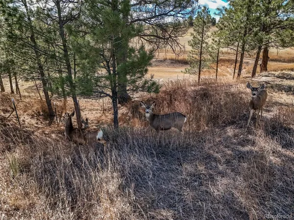 $921,500 | 1854 Belgian Trail, Elizabeth, CO 80107