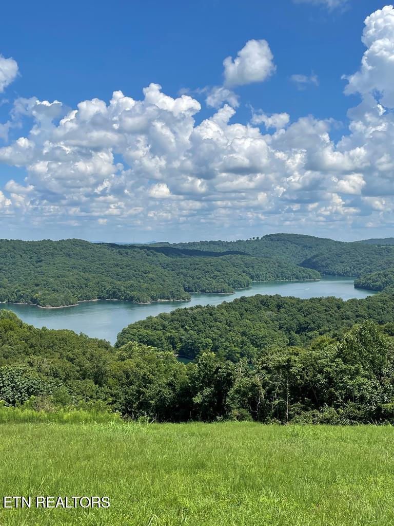Lot 57 Goose Road Celina, TN 38551 - Photo 3 of 20 USE AS MAIN