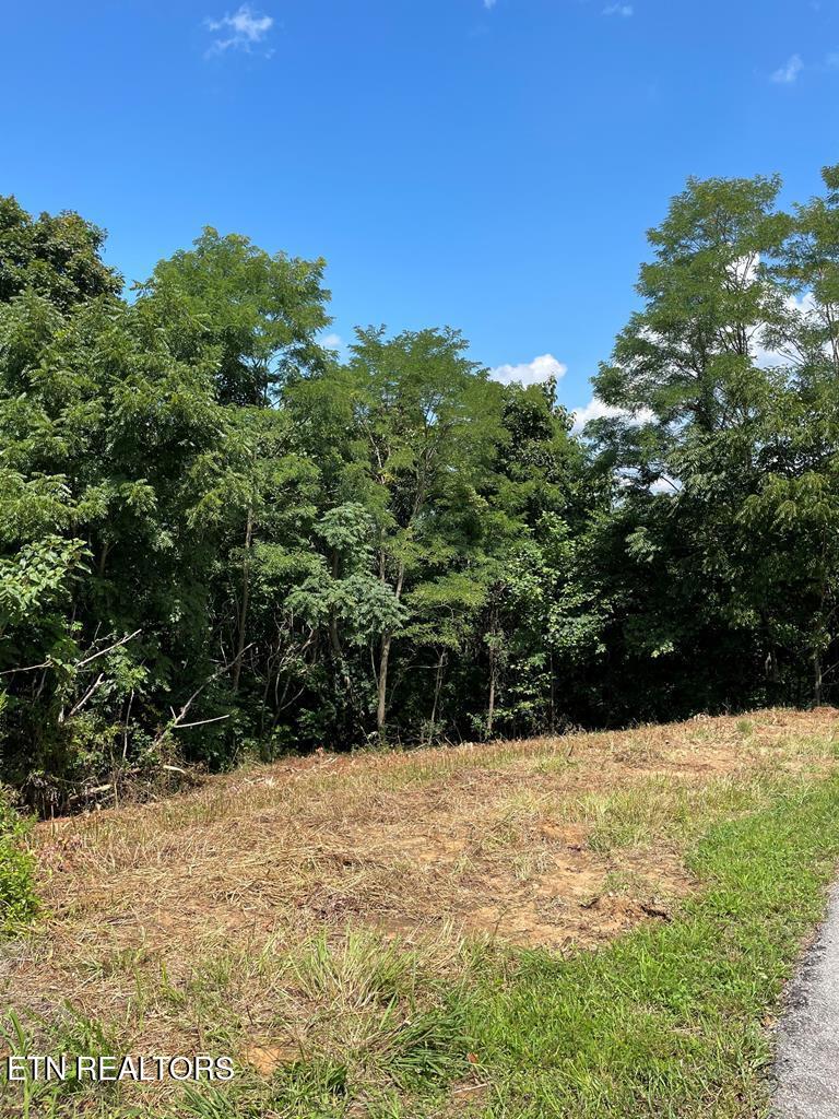 Lot 57 Goose Road Celina, TN 38551 - Photo 8 of 20 213376_10