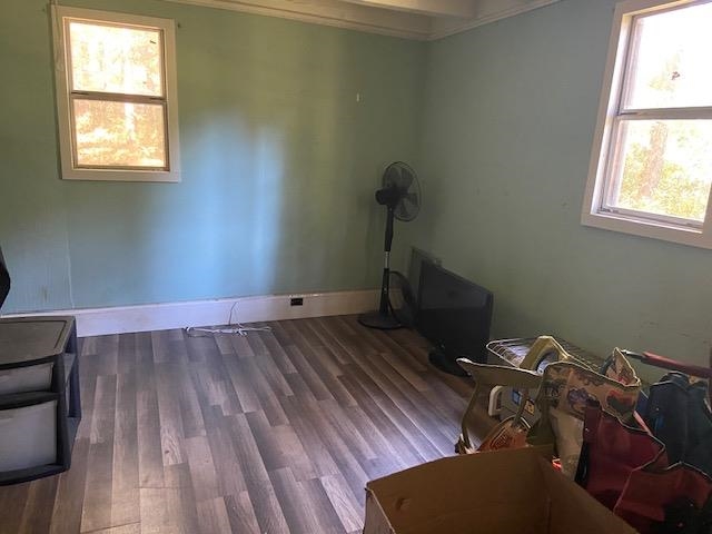 917 Higginbottom Road Selmer, TN 38375 - Photo 20 of 33 Gallery Image 20