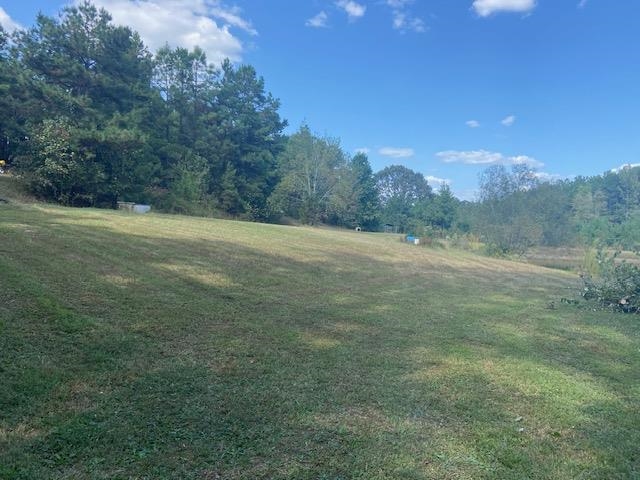 917 Higginbottom Road Selmer, TN 38375 - Photo 27 of 33 Gallery Image 27