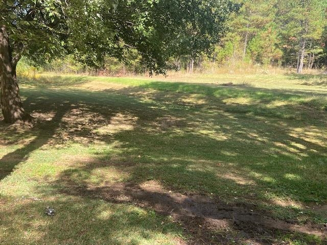 917 Higginbottom Road Selmer, TN 38375 - Photo 8 of 33 Gallery Image 8