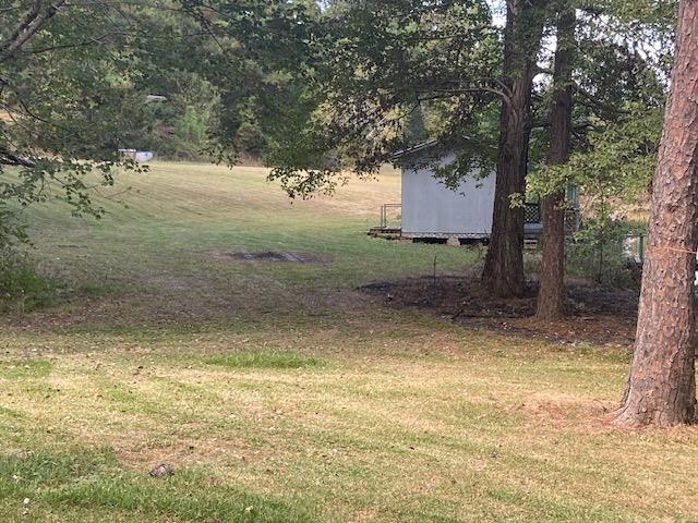917 Higginbottom Road Selmer, TN 38375 - Photo 9 of 33 Gallery Image 9