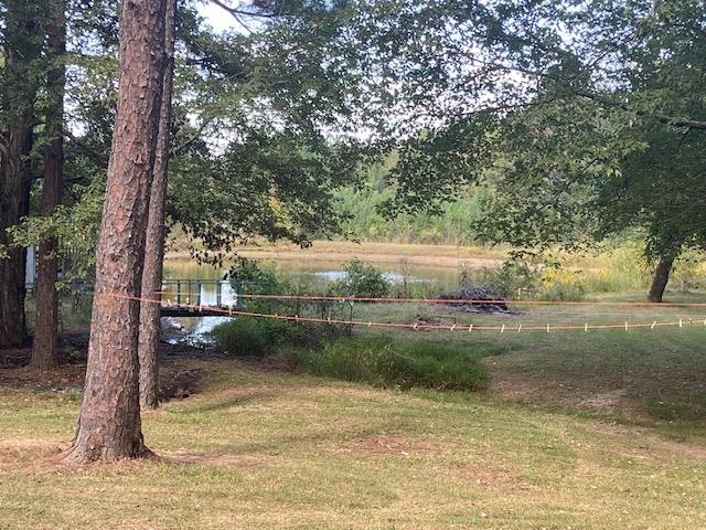 917 Higginbottom Road Selmer, TN 38375 - Photo 10 of 33 Gallery Image 10