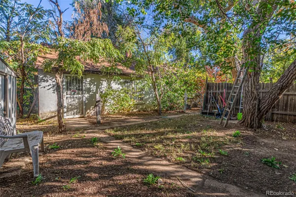 a view of a yard with plants and trees