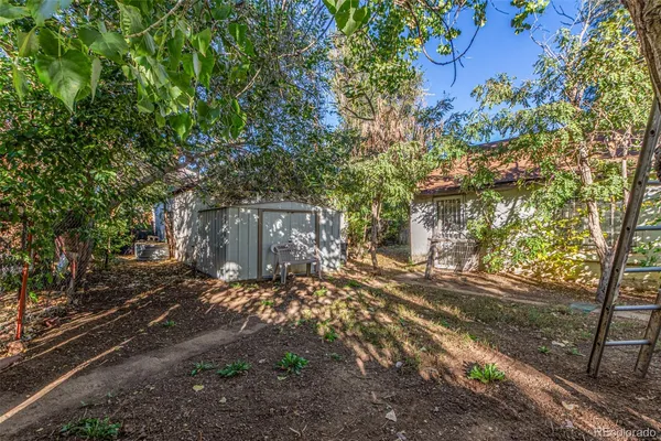 a view of a yard with plants and trees