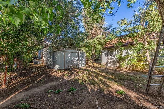a view of a yard with plants and trees