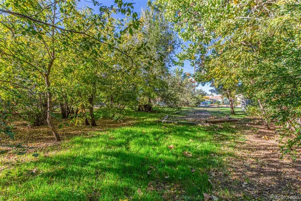 a view of outdoor space with deck and yard