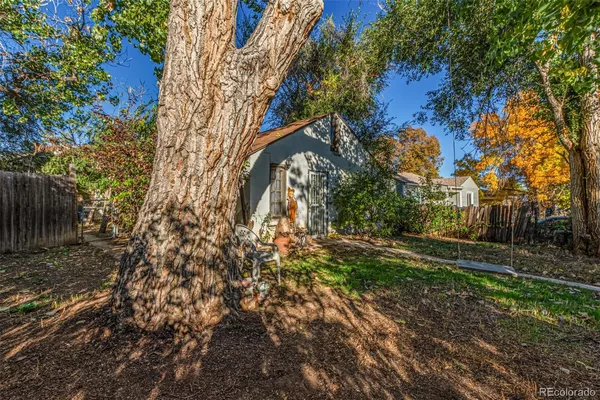 a view of a yard with plants and trees