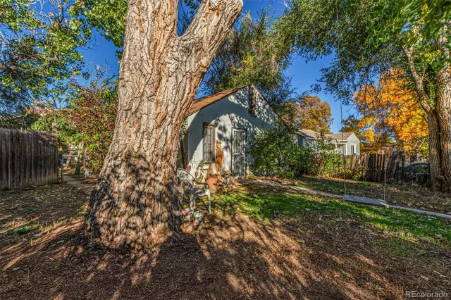a view of a yard with plants and trees