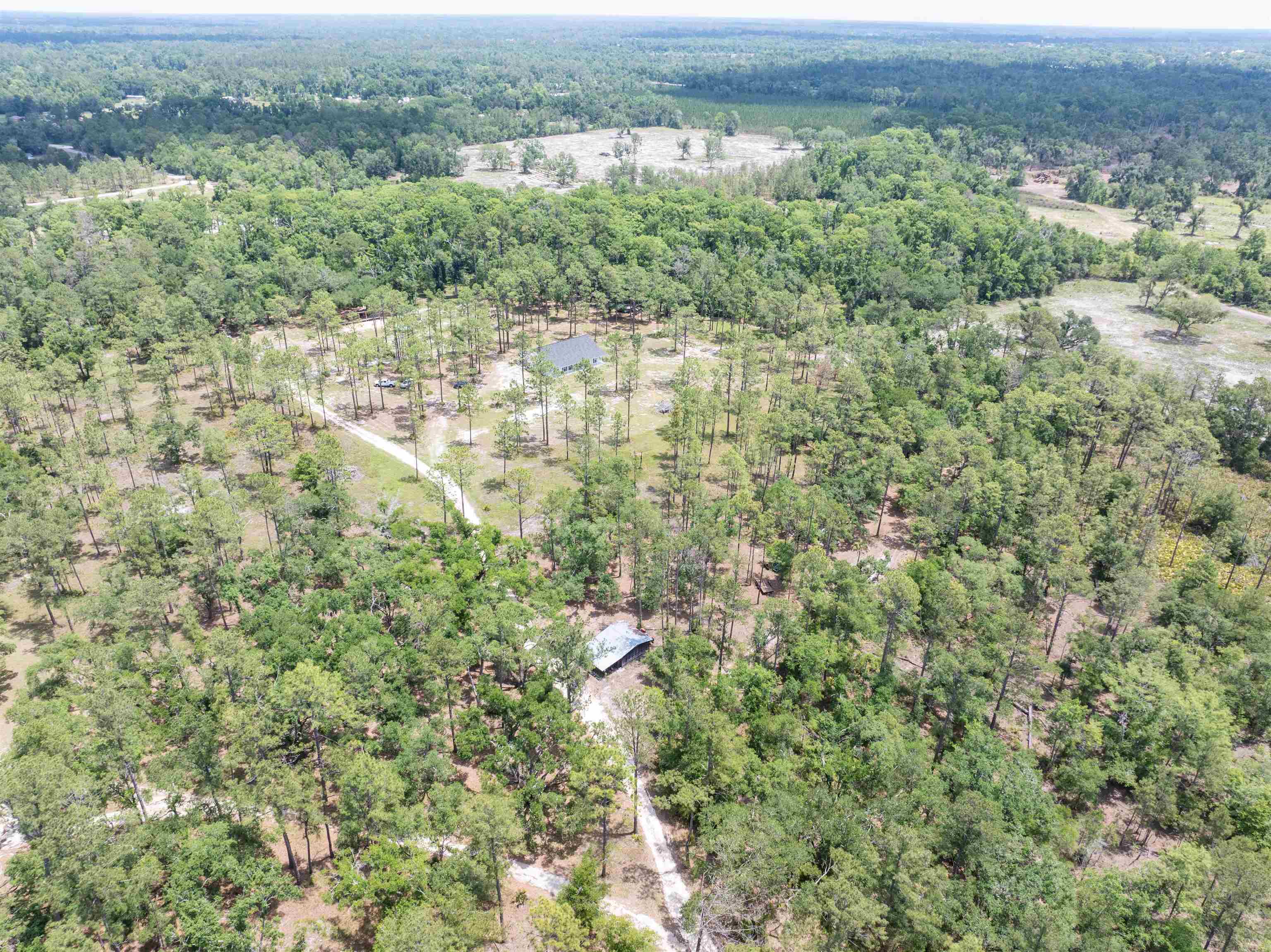 2878 West U.S 98 Perry, FL 32347 - Photo 56 of 64