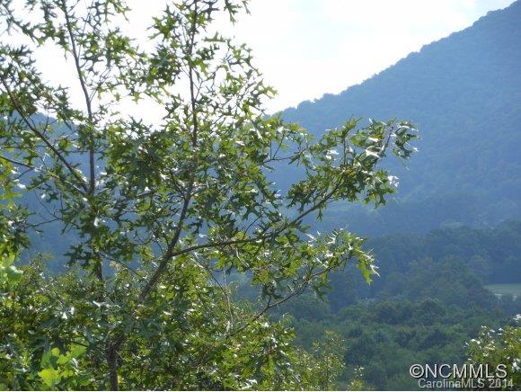 89 Ruffed Grouse Lane Waynesville, NC 28786 - Photo 4 of 20 Gallery Image 4