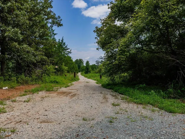 a view of a dirt road with trees in the background